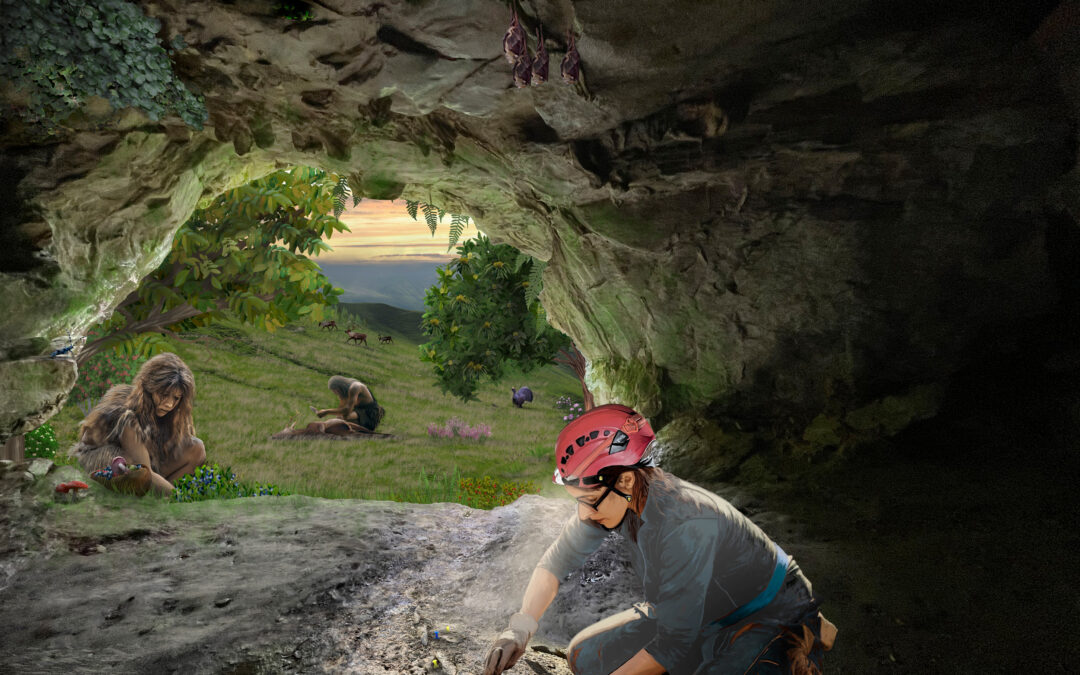 Out of the cave