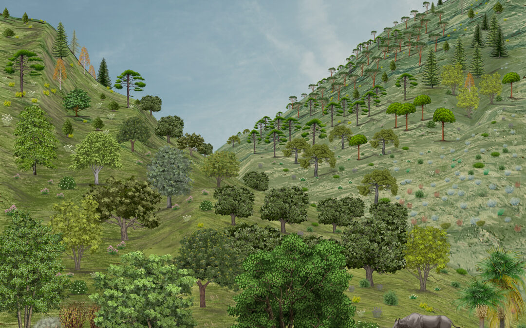 Orce landscape
