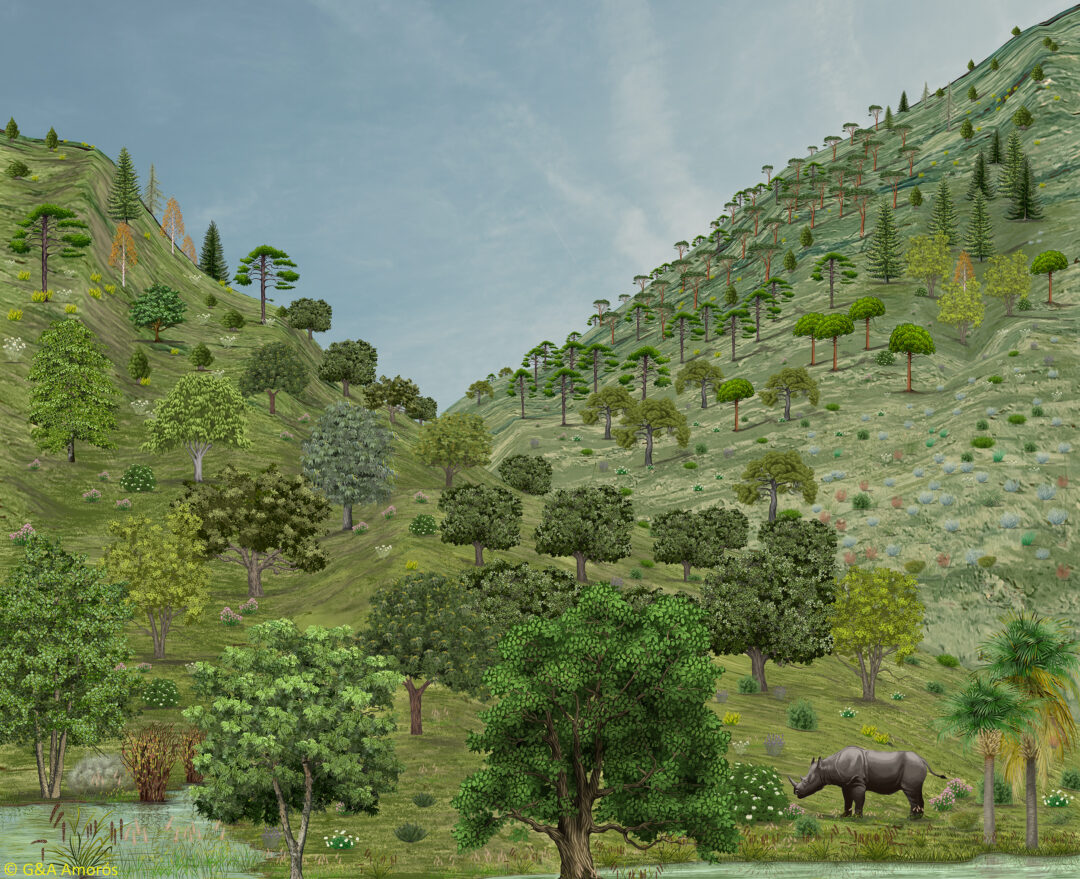 Orce landscape