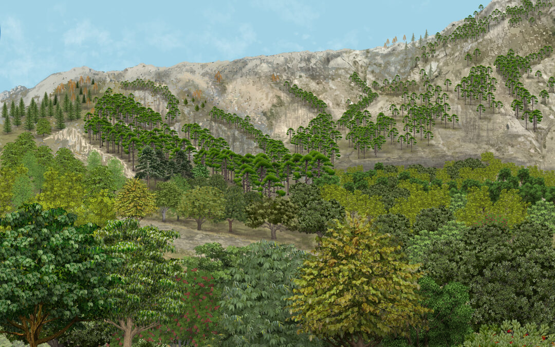 Orce refuge