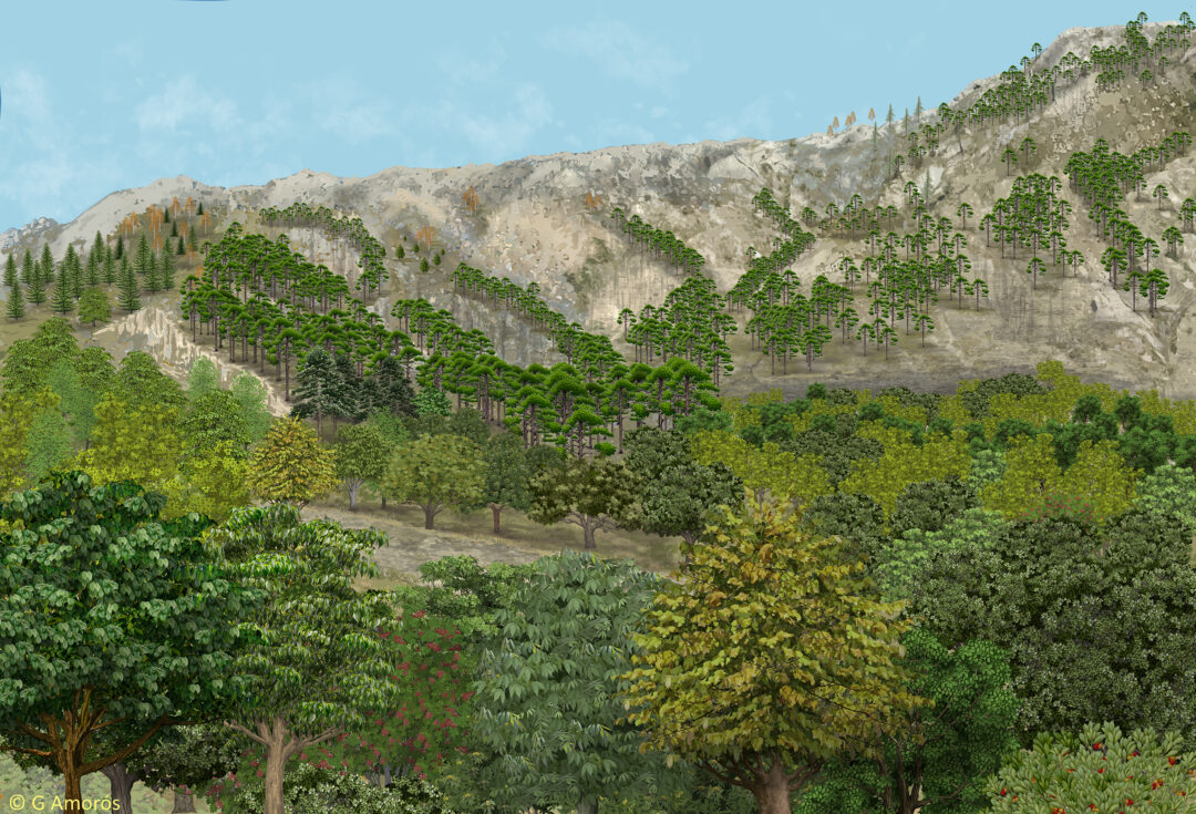 Orce refuge