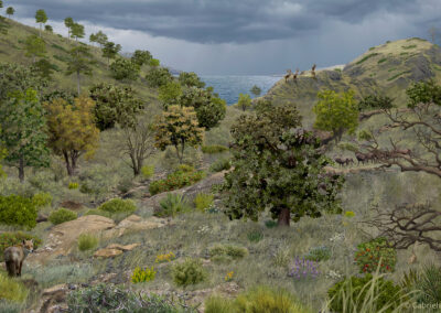 Southeastern Iberian during a stadial phase