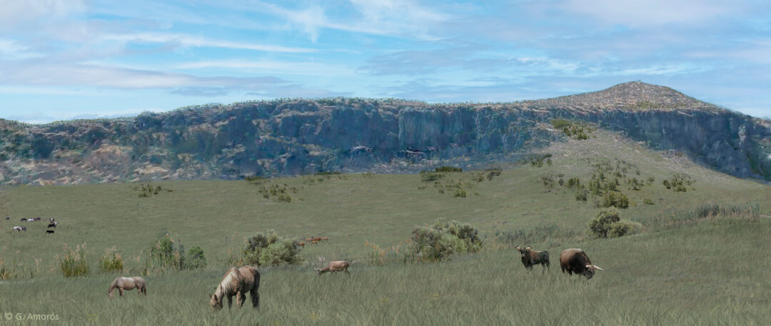 Grassland phases at Carihuela