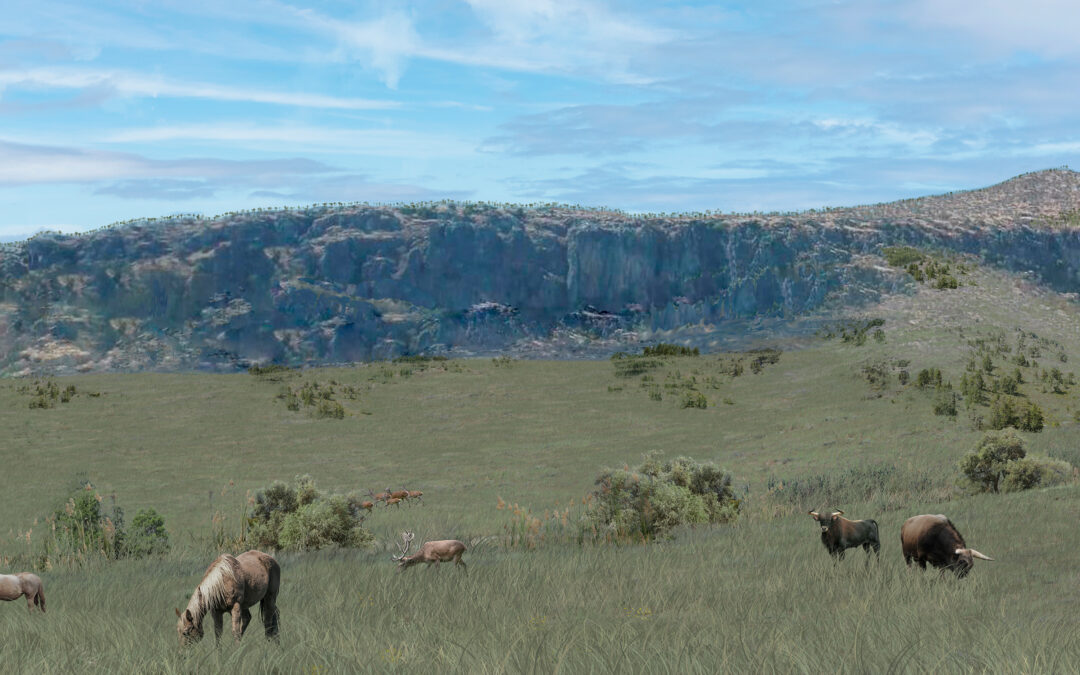 Grassland phases at Carihuela