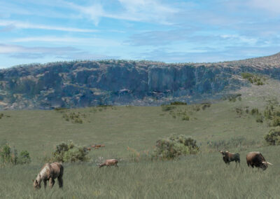 Grassland phases at Carihuela