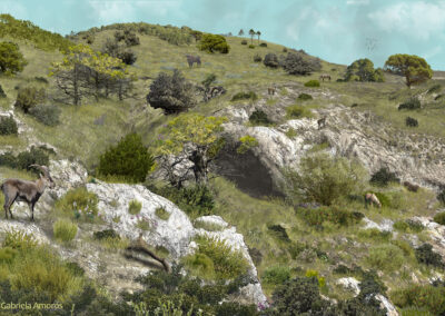 Cueva del Arco Gravettian